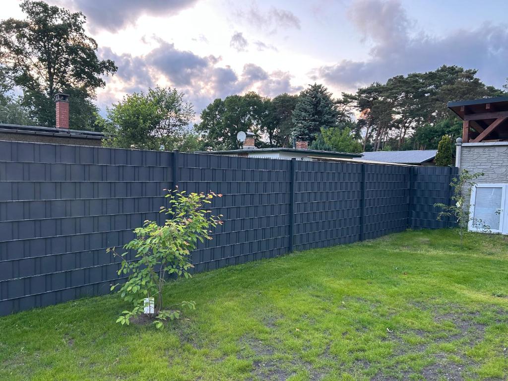 Garten mit Rasen und Zaun