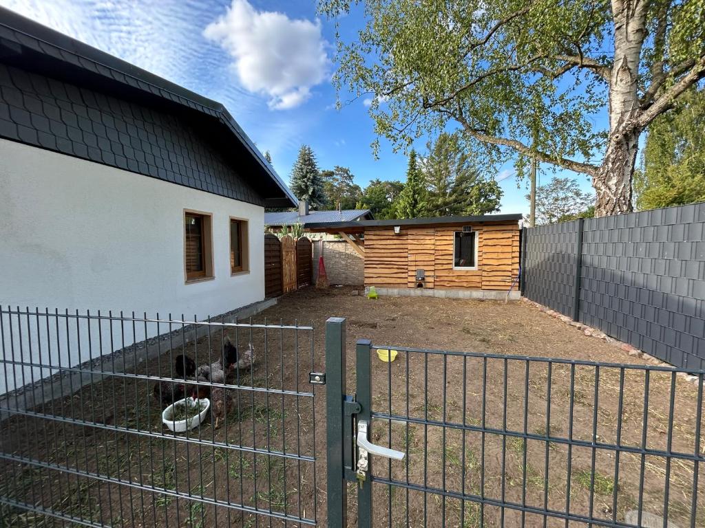 Garten mit Hühnern und Zaun